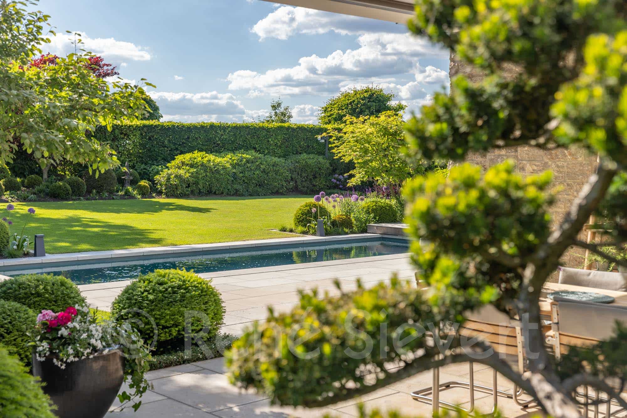 2025-05-19-KLUTE-Knauf- 549 Garten mit Rasenfläche, Bäumen und Sträuchern sowie einem Pool im Vordergrund.