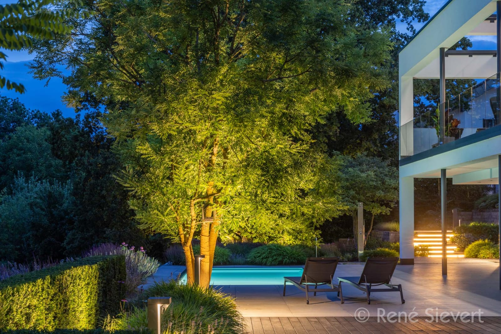 René Sievert Unbearbeitet (5) Beleuchteter Baum neben einem Pool und Liegen in einem modernen Garten bei Nacht.