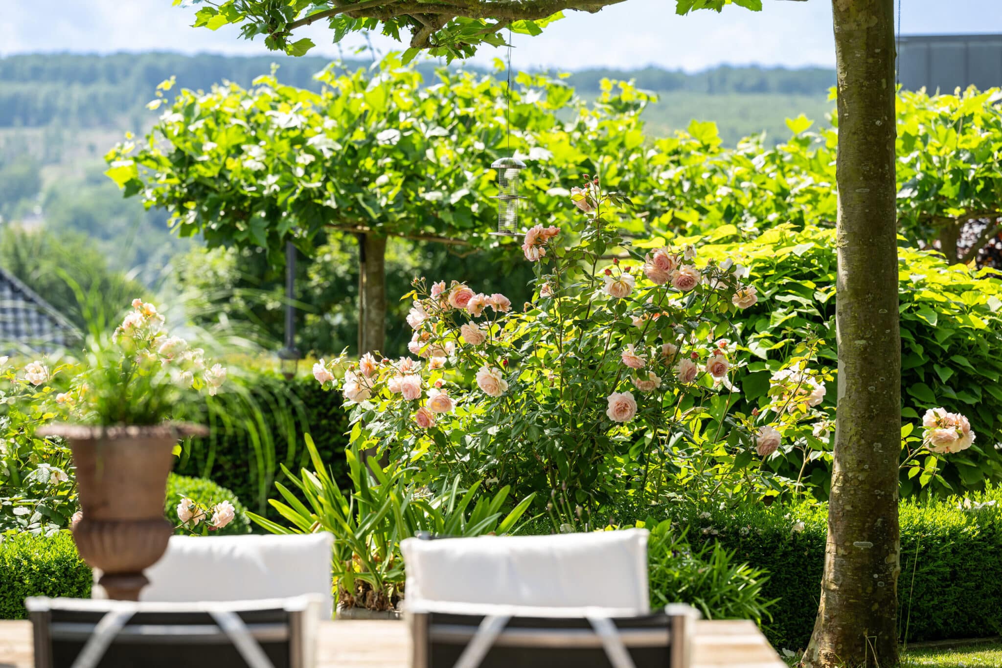 GvE Klute Blühende Rosensträucher in einem Garten mit grünen Pflanzen und einem Tisch mit Stühlen im Vordergrund.